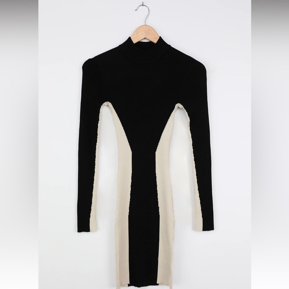 Black and Beige Block Bodycon Sweater Dress - Picture 5 of 13